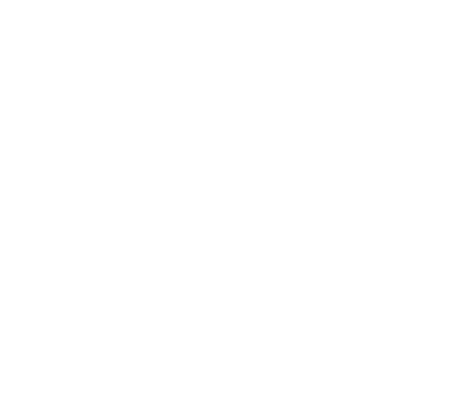 Luis reys