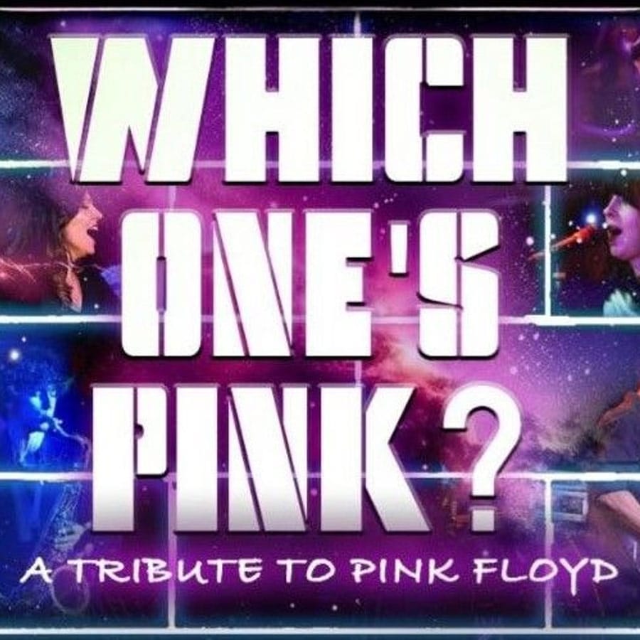 Which one s pink tribute to pink floyd pala casino
