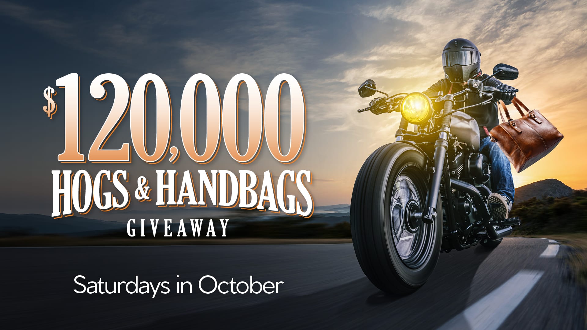 Pal102529dig hogshandbags 1920x1080fnl